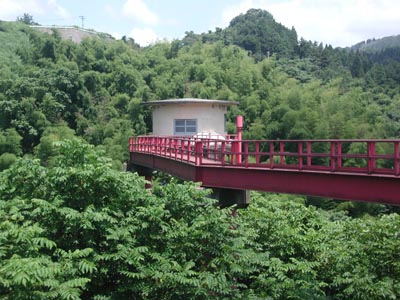 �搅���Ȃ̂ł��傤���c