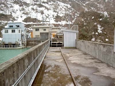 ���W�A���Q�[�g