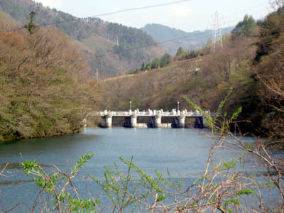 上流から堤体を望む