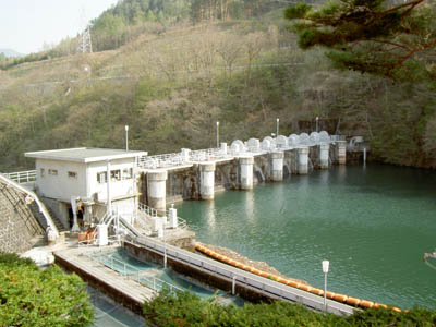 左岸上流から堤体を望む