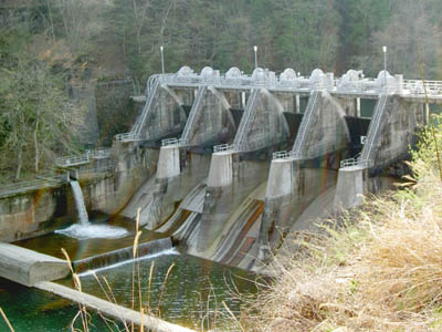 ラジアルゲートは6門あるのです