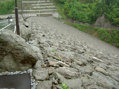 �E�݂����̉�����������