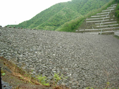 ��̂��������W�]�䂩�猩��