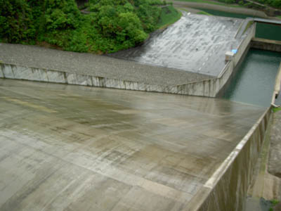 �����H�͋���Ȋ����̂悤�ł�