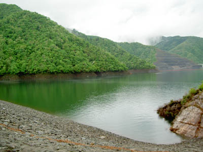 �_���΂́A���R�΂Ɩ�������܂���