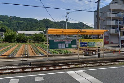 �z�[���͑��Ύ��ł�