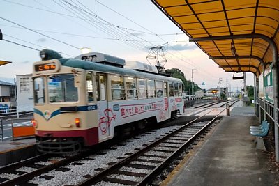 �������Ɍ�����̂�������w