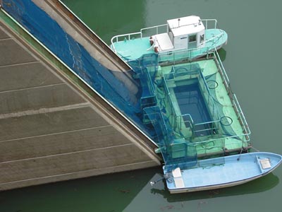 �Ǘ��p�D��