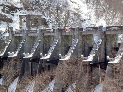 ラジアルゲート