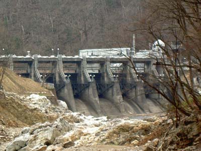 �p��_������������