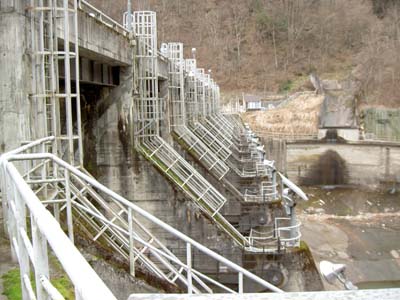 ��̂��E�ݑ����猩��