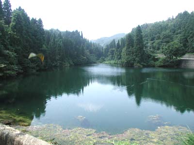 �����r�S�i