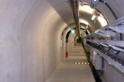 �č��L�����@�����Ɍ�������