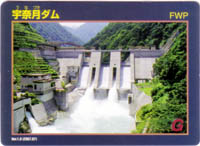 �F�ތ��_���@�_���J�[�h