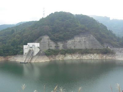 �_���΂ƑI���搅�ݔ�