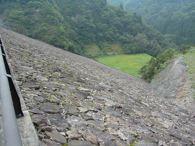 ��̉�����