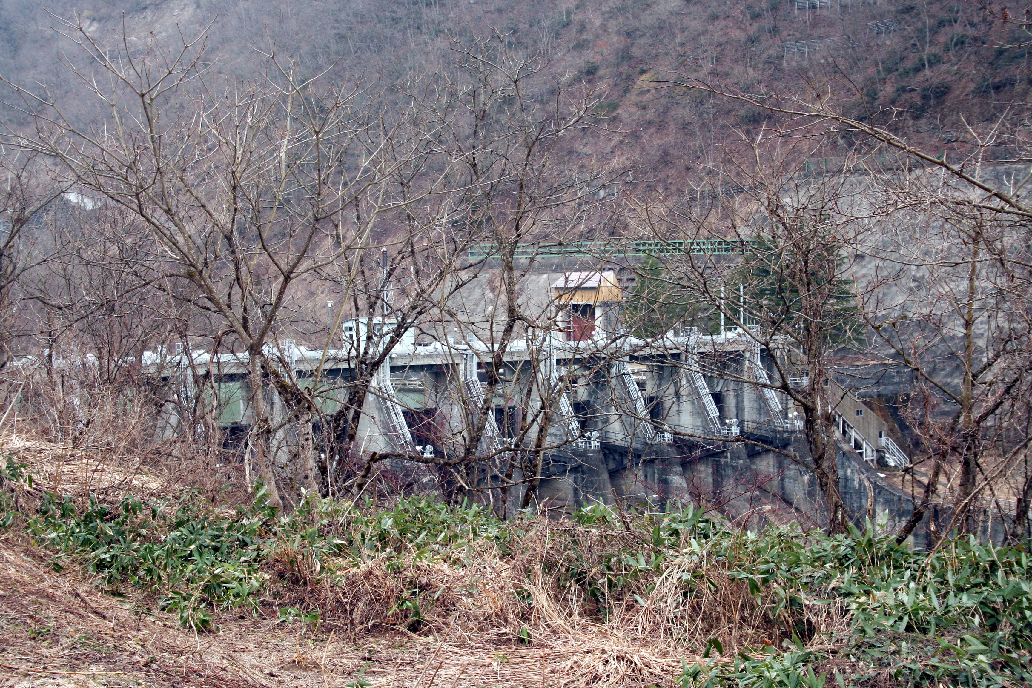 �ŕۃ_�����E�݂��