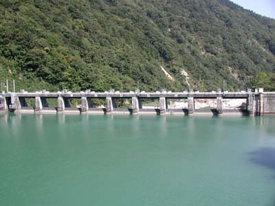 �㗬�����猩�����