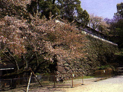 宇和島城藤兵衛丸石垣