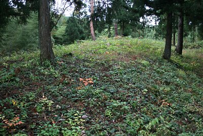 上見城跡の案内板