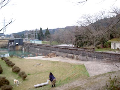 ���������̂�]��