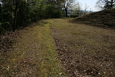 本丸南側の周囲にも土塁が続いている