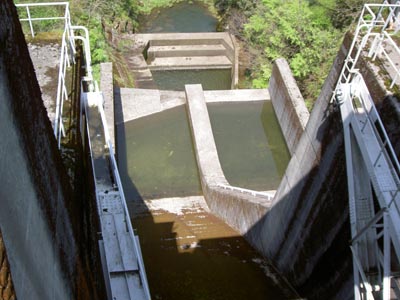 ���W�A���Q�[�g�ƌ����H