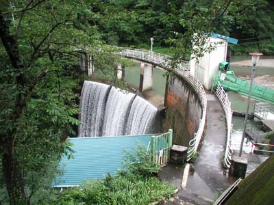 ��y�_���S�i