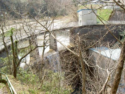 �E�݉����������̂�����