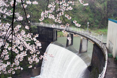 ���̋G�߂ł�