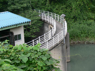 ���ݏ㗬�������̂�����