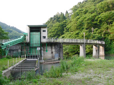 �㗬�����̑S�i