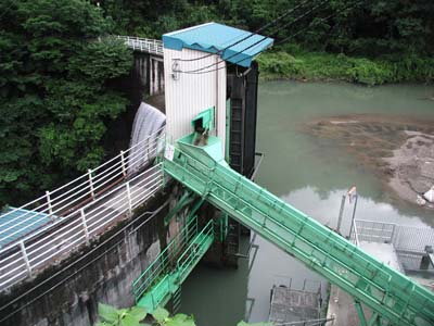 ���؍̎�p�̃��t�g�ƃR���x�A