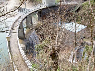 �E�݂�����