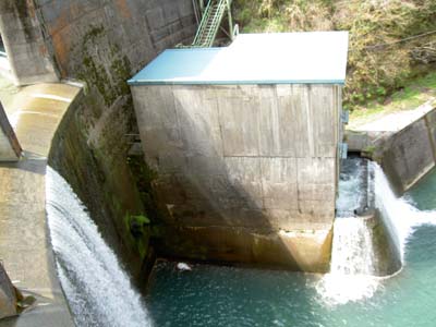 �_�������Ɏ�y���d��