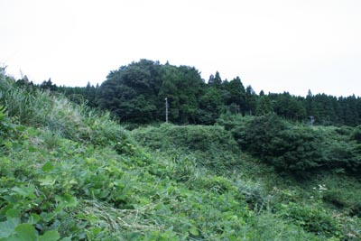 ��̉����������������΂��Ă��܂���