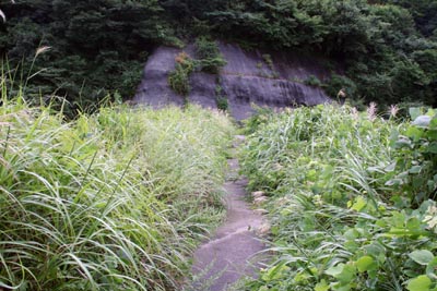 �V�[��͑��������΂��Ă��܂���