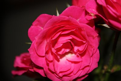 �o���@�}�N���B�e�i�Q�j