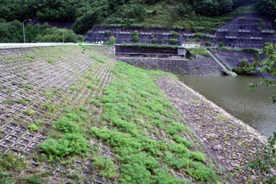 ���݂����̏㗬��������