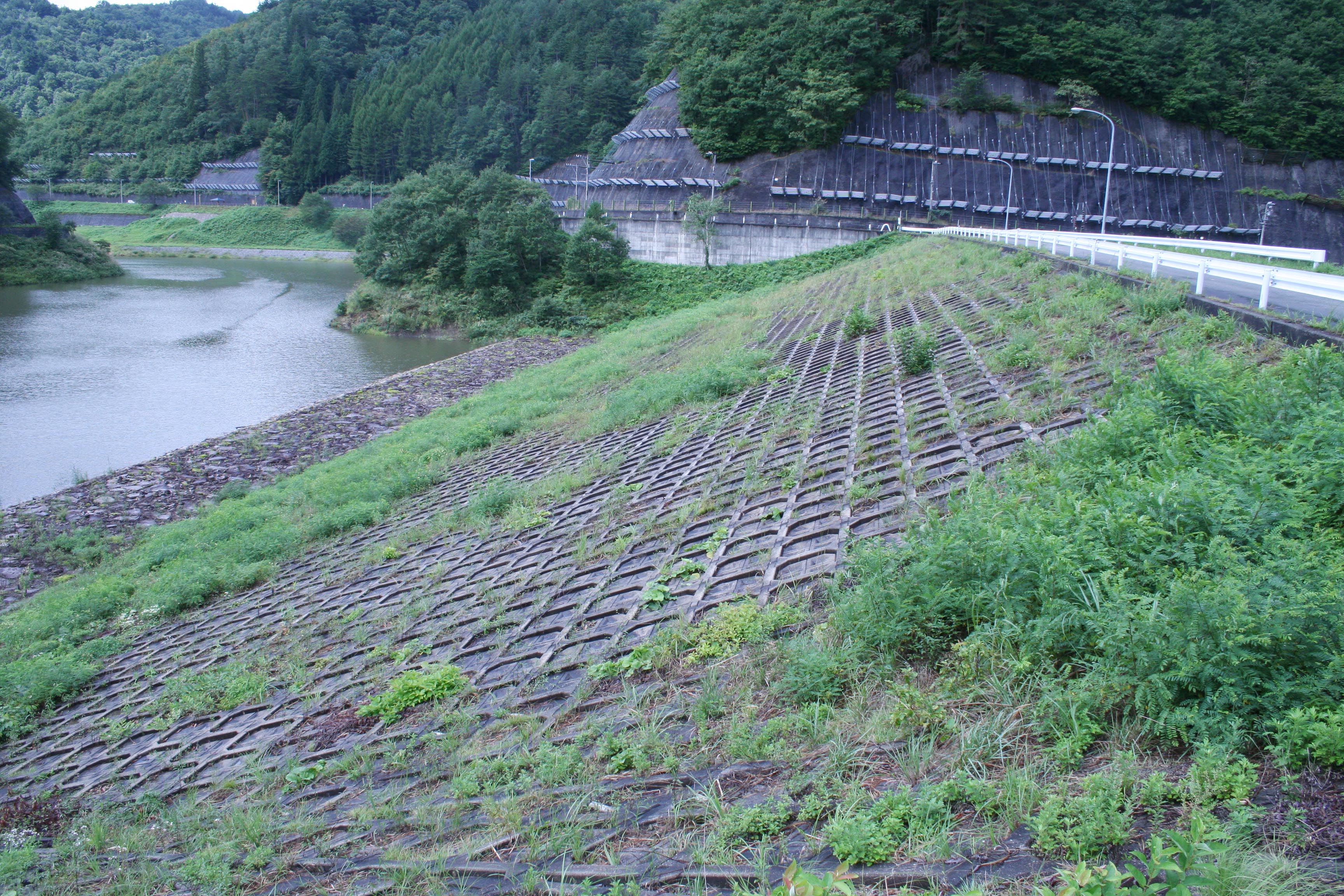 �E�݂����̏㗬��������