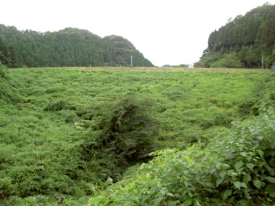 山口防災ダム全景