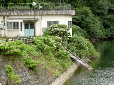 管理棟と取水設備