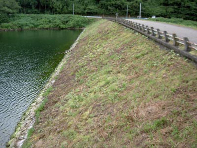 右岸から堤体上流側を見る