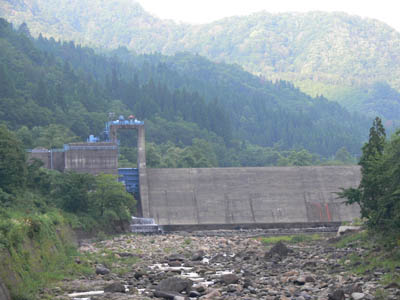 �R���_���S�i