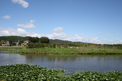 右郭南側と外堀