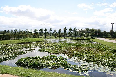 右郭南西側の外堀