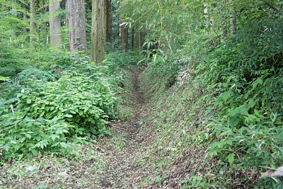 狭い登城道が続きます