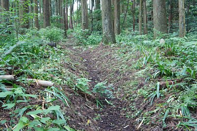 登城道が続きます
