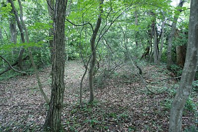 また郭がありました