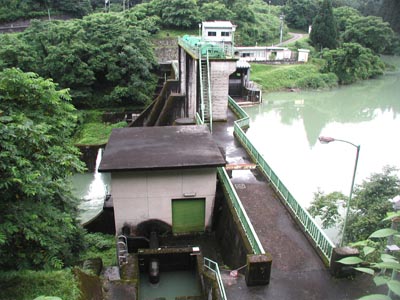 �����_���S�i